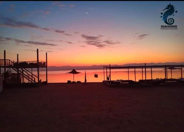 Hotel Sea Horse Nuweiba` Esterno foto