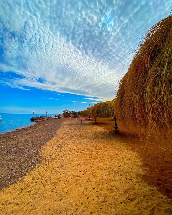 Hotel Sea Horse Nuweiba` Esterno foto